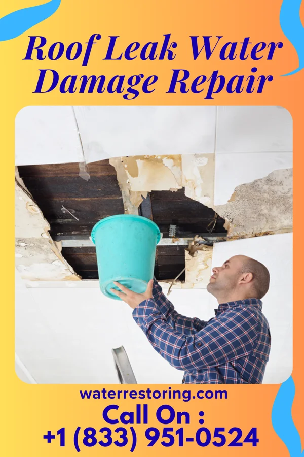 Roof Leak Water Damage Repair in Loveland, CO